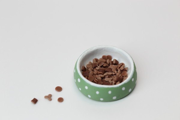 猫のフード「ウェルネス」おすすめ商品5選