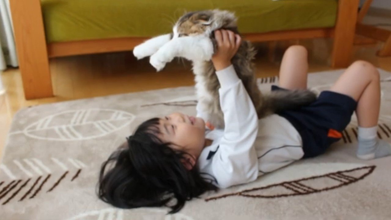手を伸ばして
