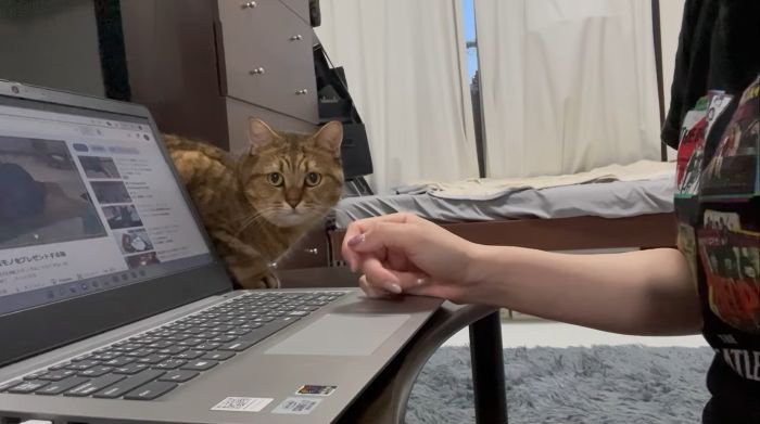 飼い主さんのもとへきたみにらくん