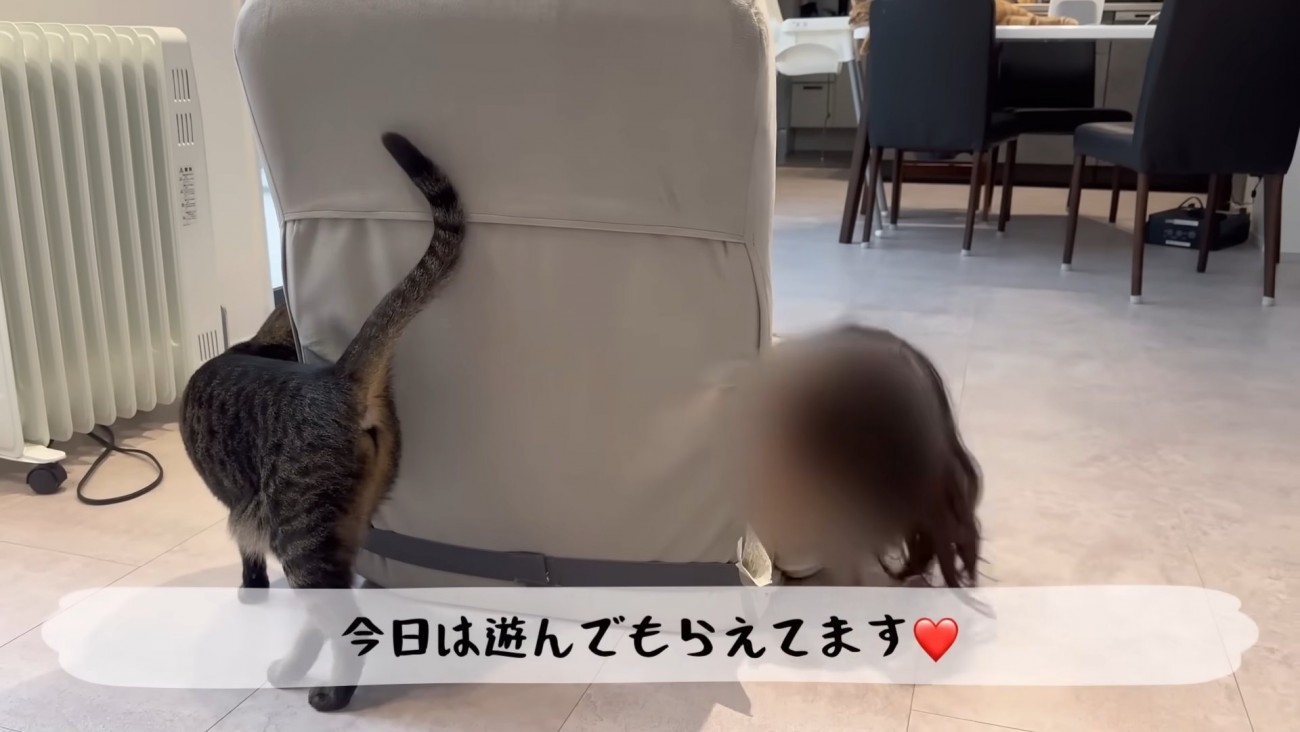 テロップ「今日は遊んでもらえてます」