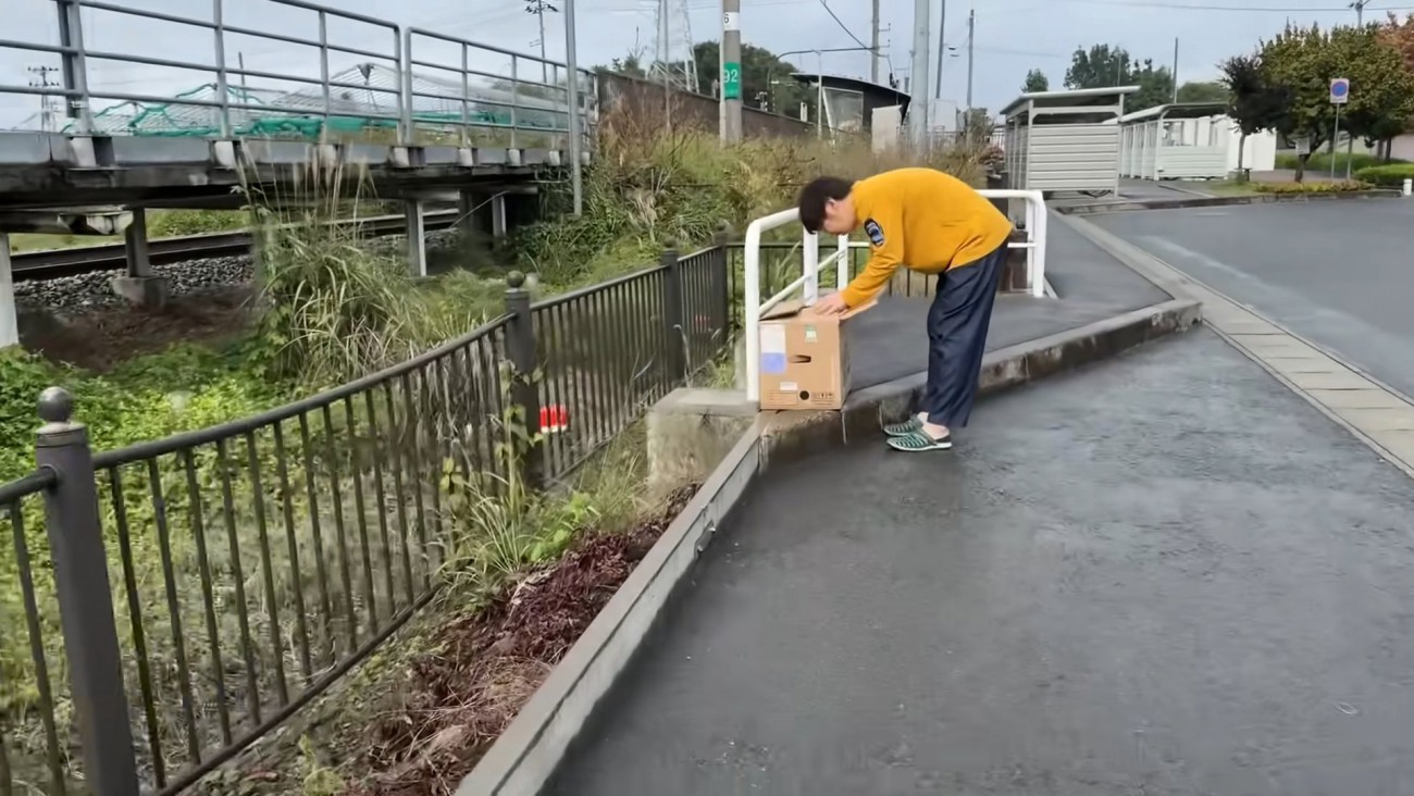 ダンボール箱をのぞく人