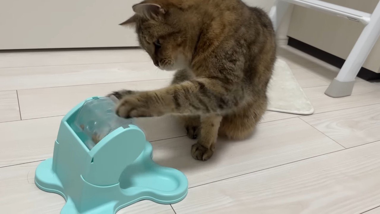 回す姿(斜め前から)