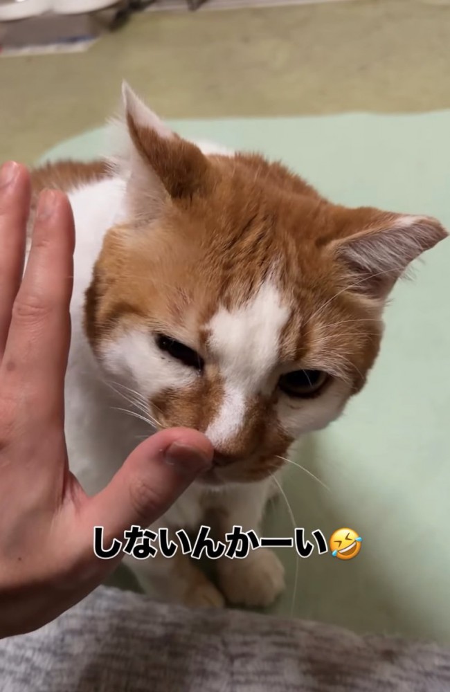 手の匂いを嗅ぐ