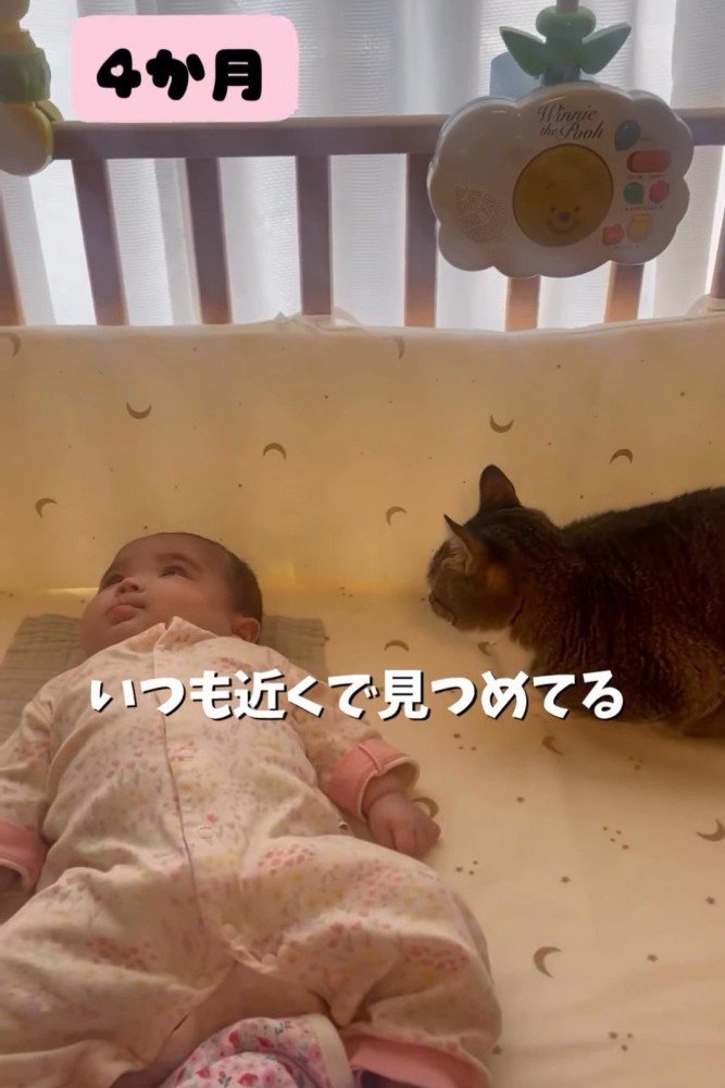 赤ちゃんの横にいる猫
