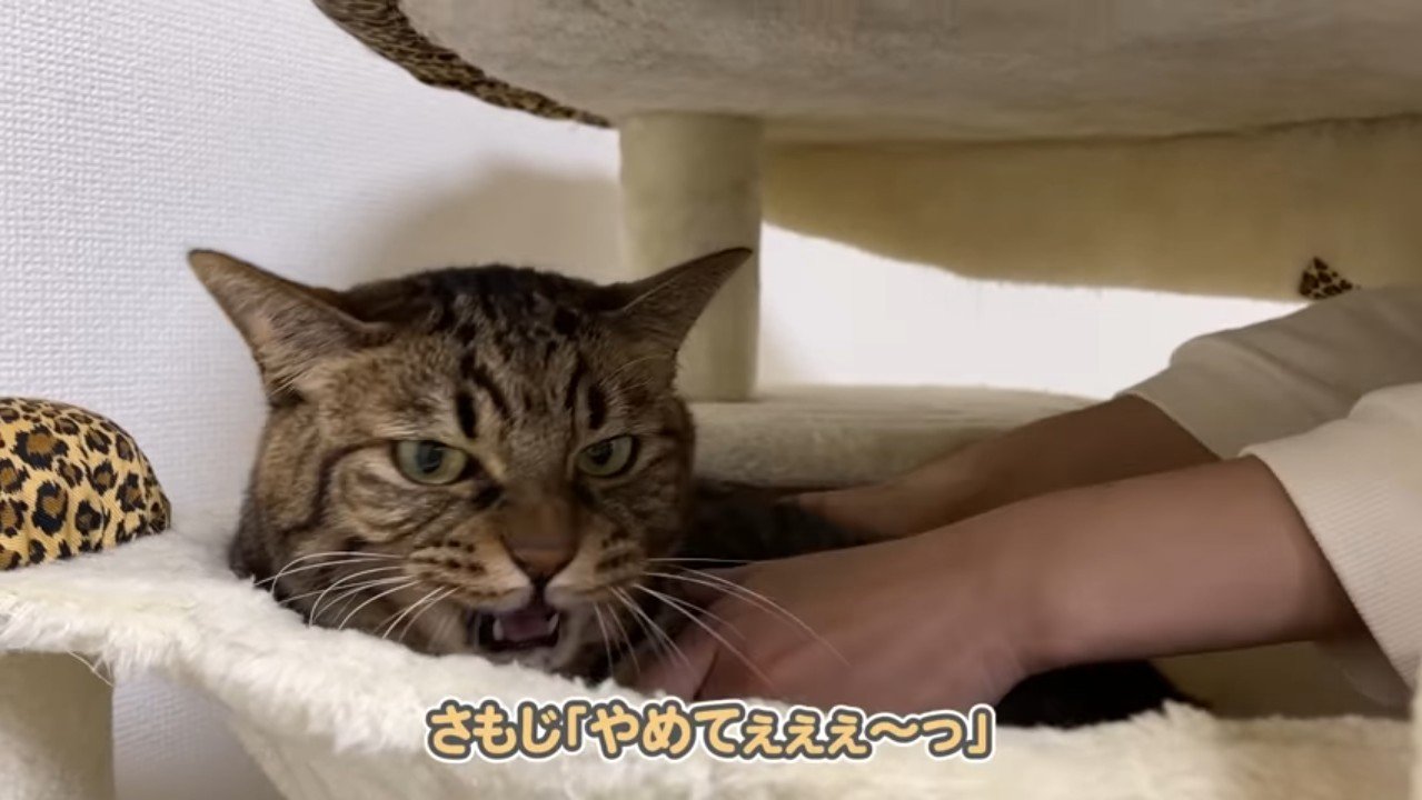 やめてぇぇぇ～っ