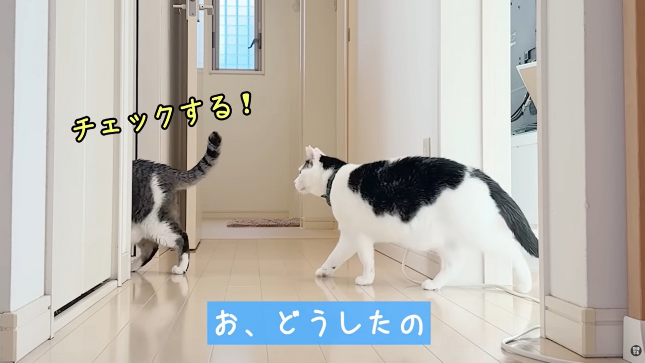 テロップ「お、どうしたの」