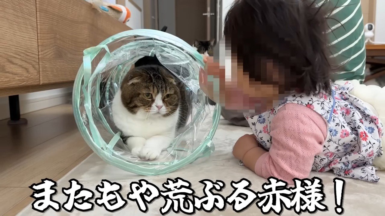 またもや荒ぶる赤様！