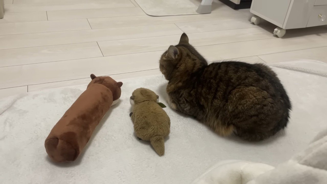 並ぶ3人(後ろから)