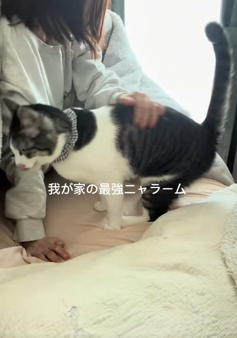 起きた飼い主と猫