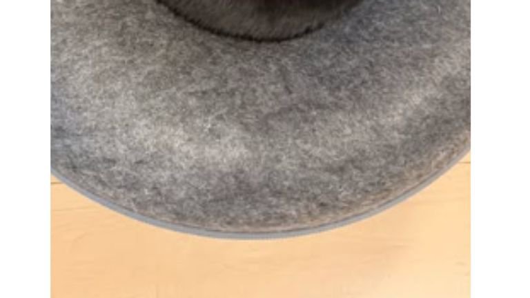 寝ている猫