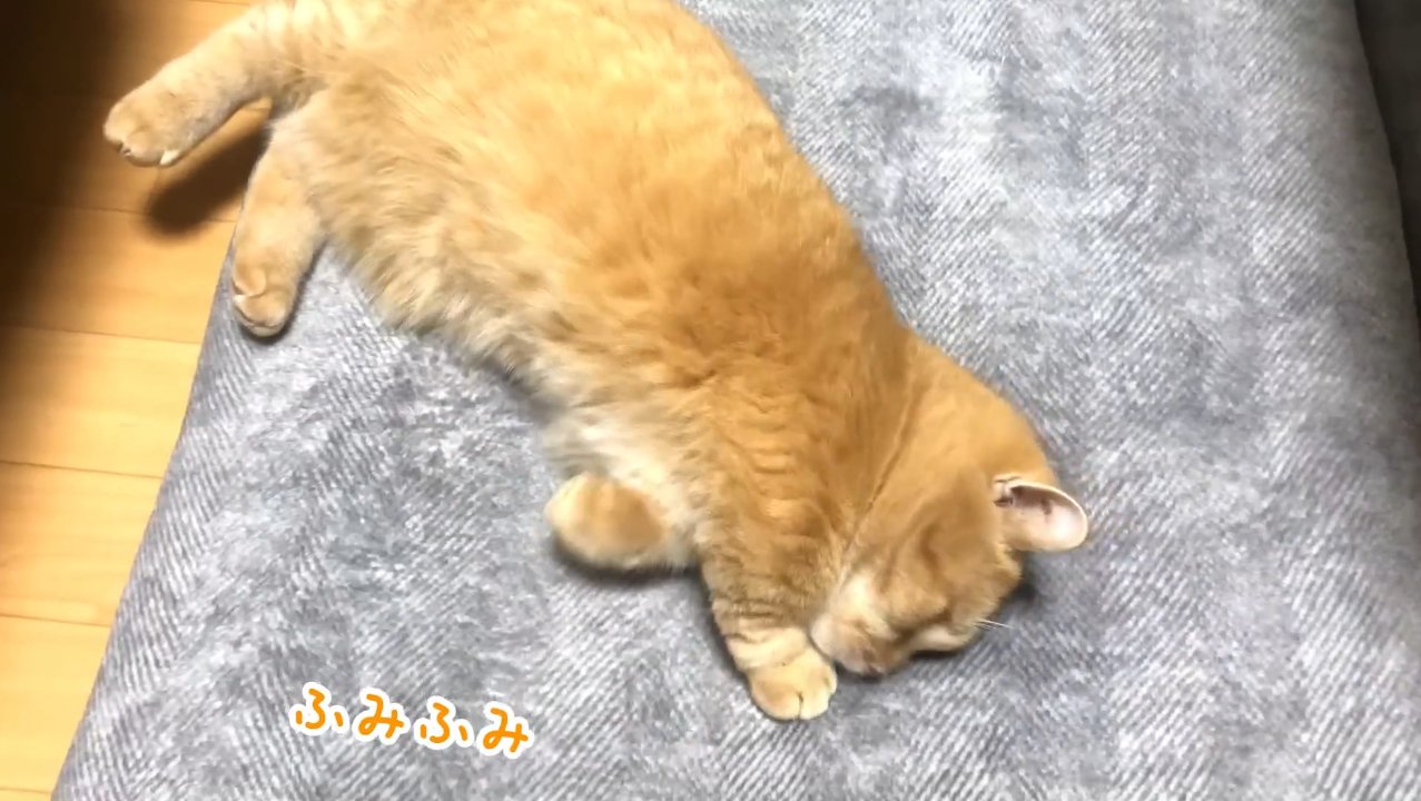ふみふみ