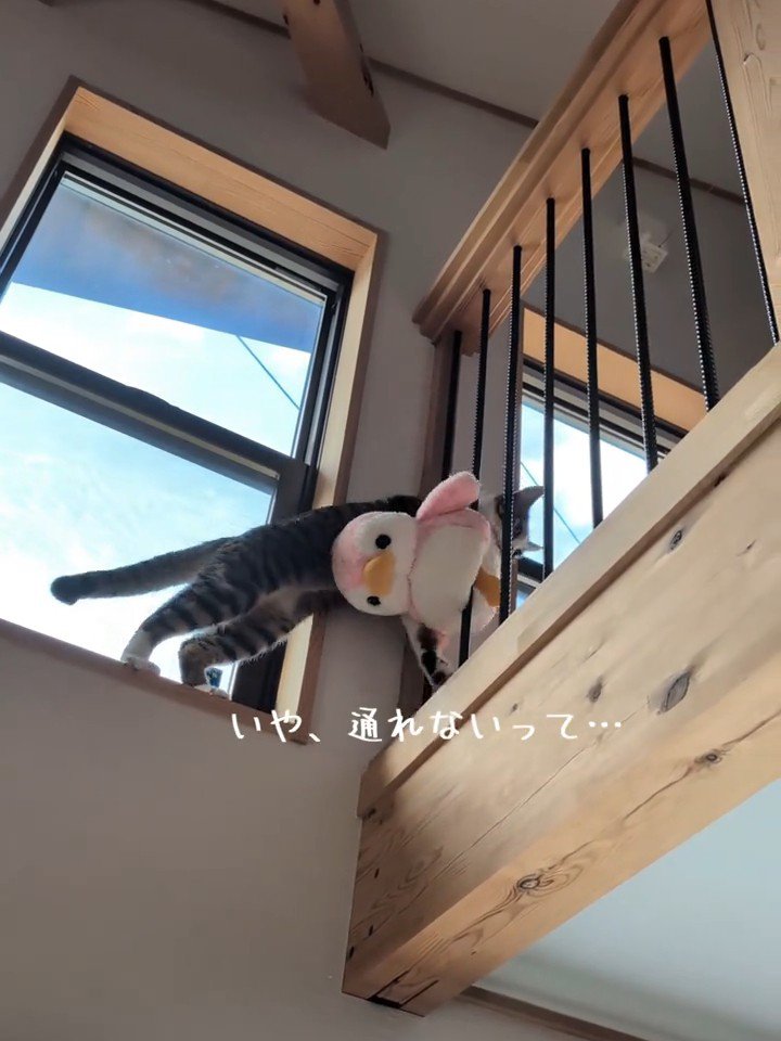 柵に引っかかるぬいぐるみ