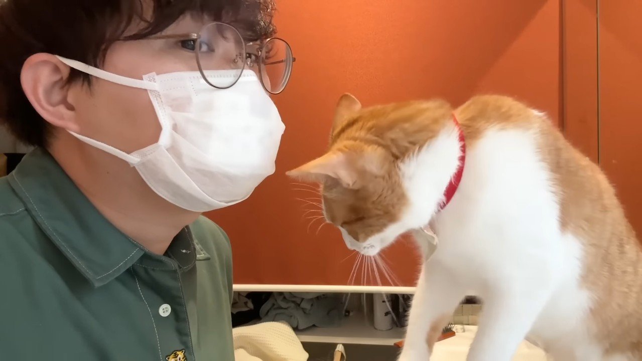 マスクをした飼い主さん