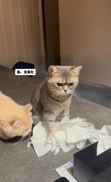 悪戯現場