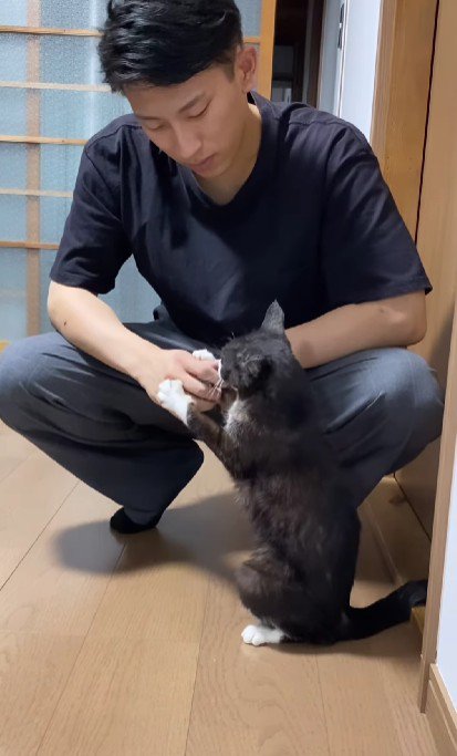 男性に甘える猫
