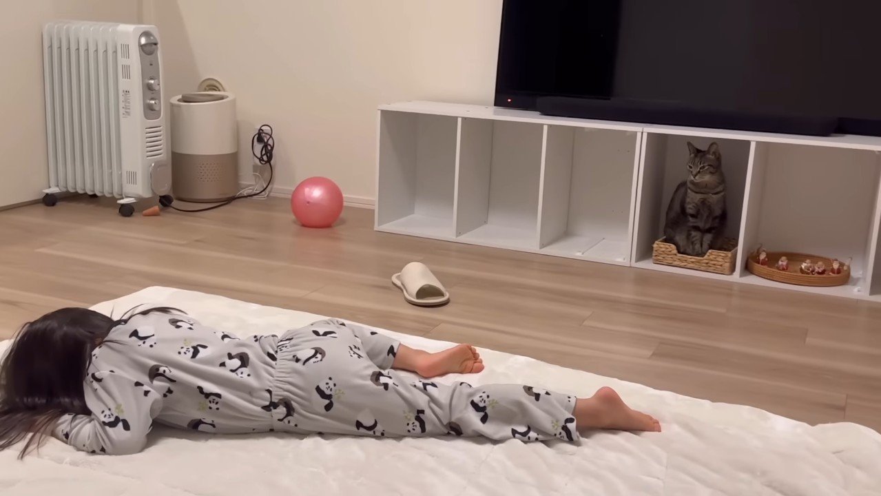 見つめるももまるちゃん