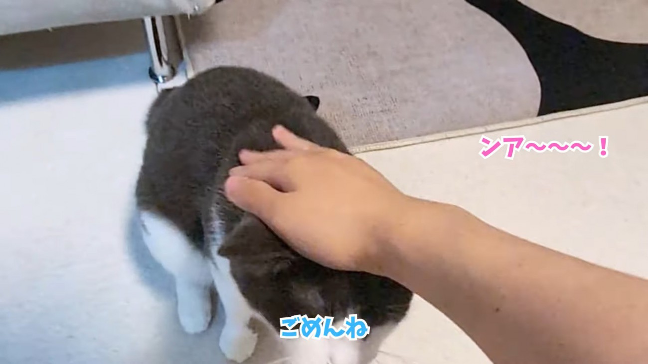 テロップ「ごめんね」