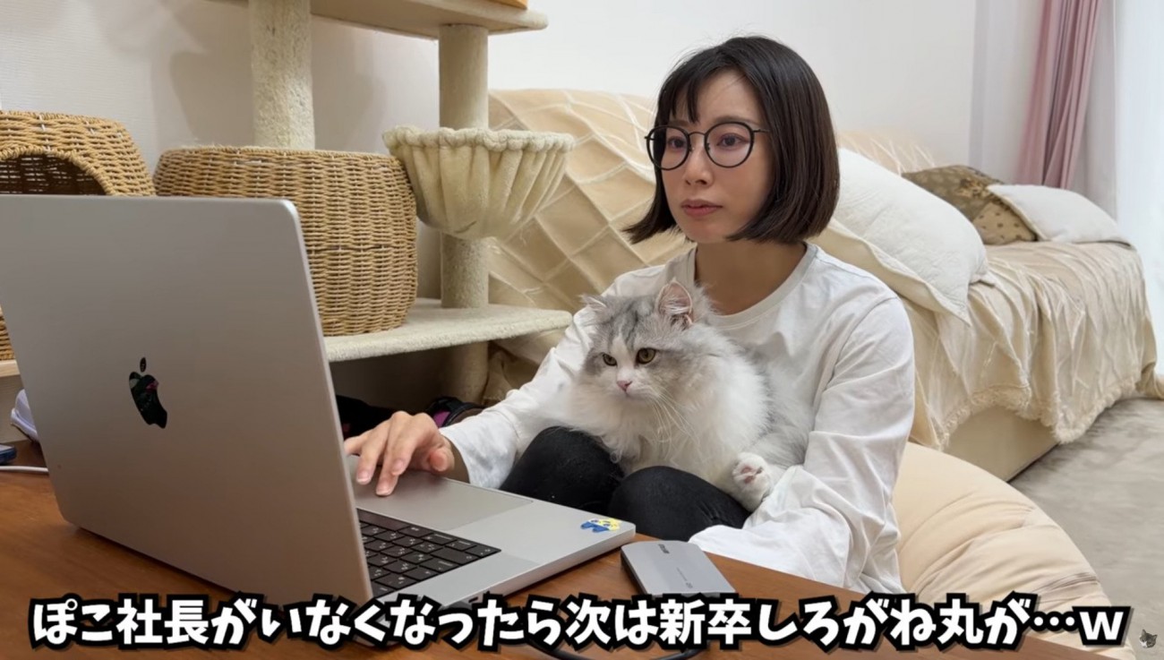 女性の膝の上に乗っている猫