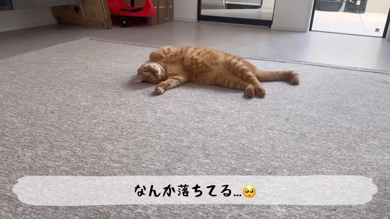 テロップ「なんか落ちてる」