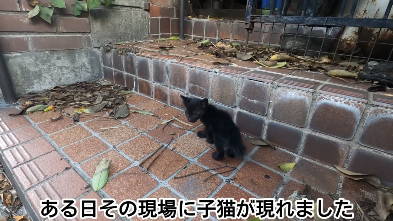 「ある日その現場に...」のテロップ写真