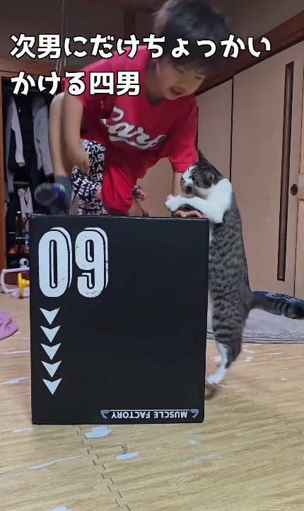 ジャンプトレーニングをする男の子