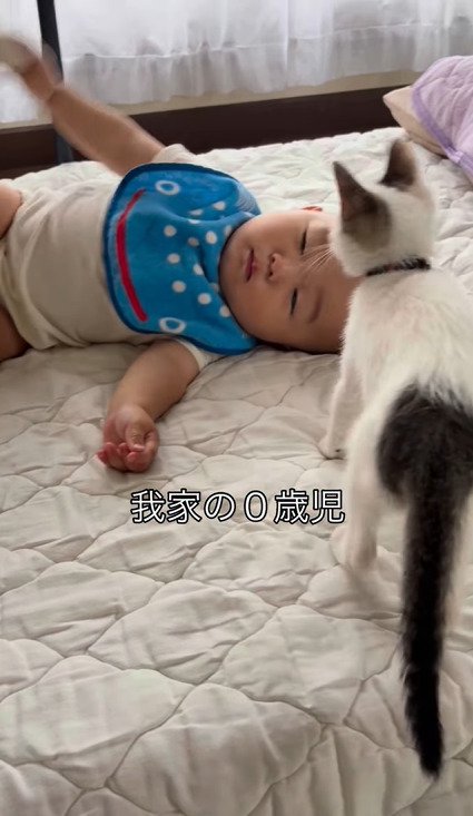 ぬいぐるみを振る赤ちゃんと向かい合うつなちゃん