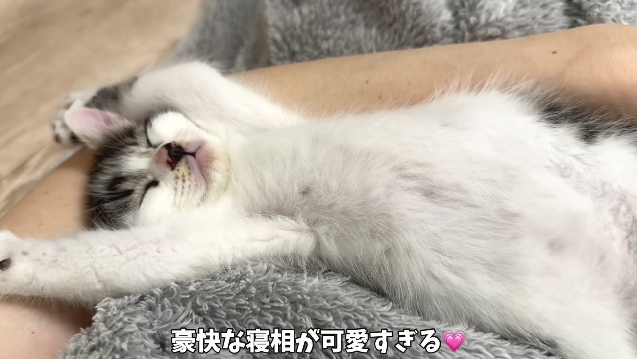 豪快な寝相の坊ちゃん