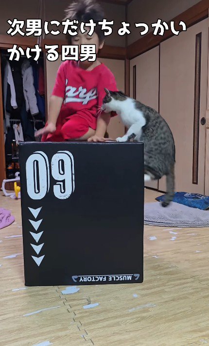 ジャンプトレーニングをする男の子
