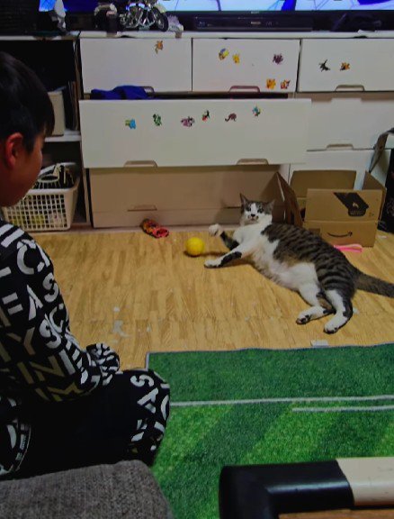 キャッチボールをする男の子と猫