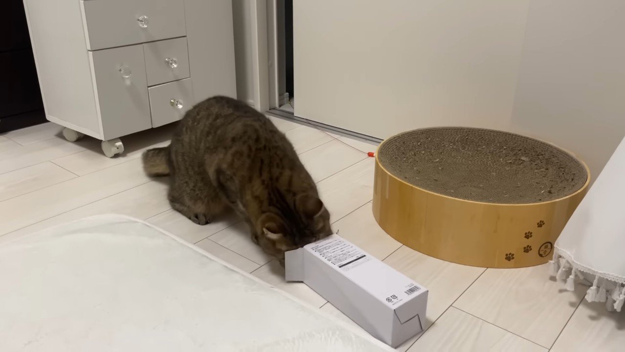 顔を入れようとして