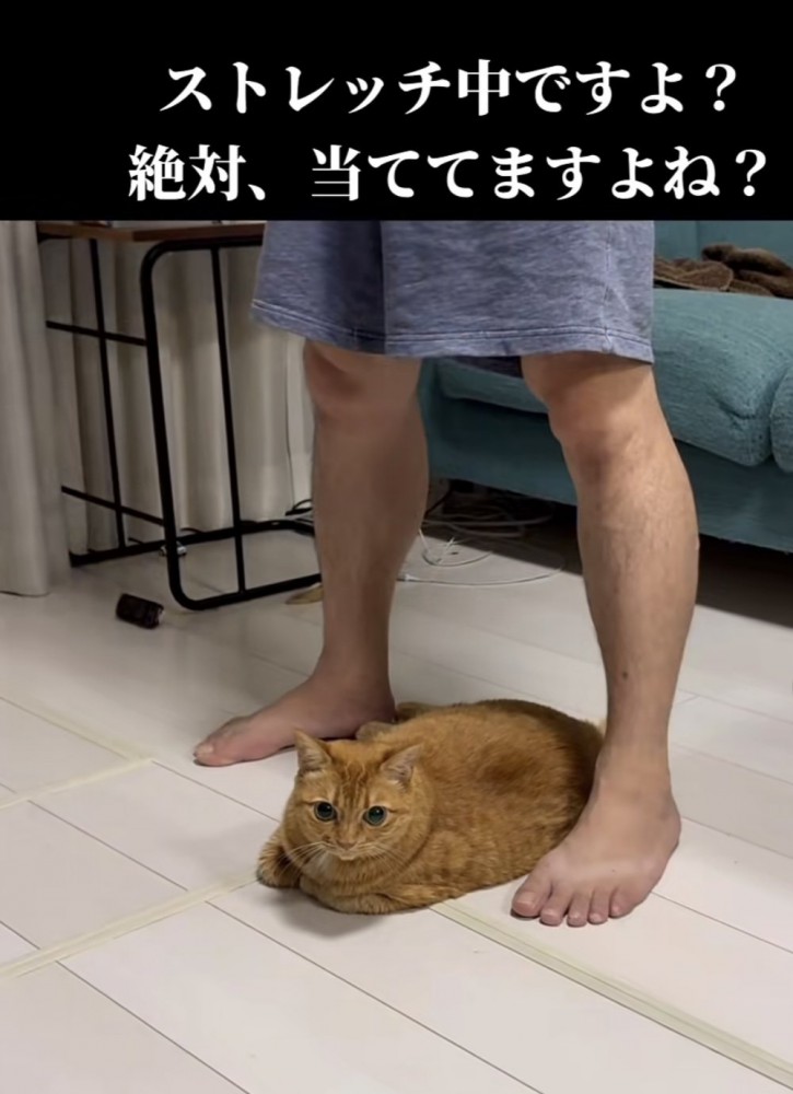 「ストレッチ中ですよ？...」のテロップ写真