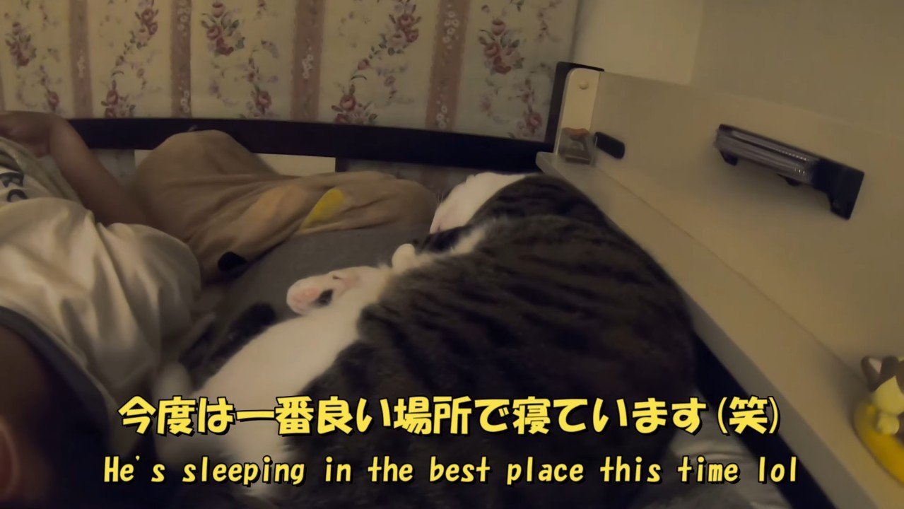 一番良い場所で