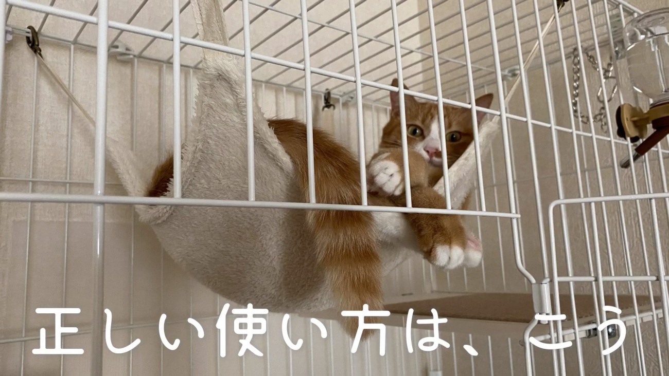 正しいハンモックの使い方1