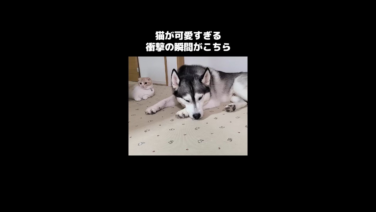 くつろぐふたり