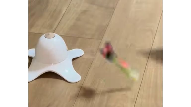 猫と電動オモチャ