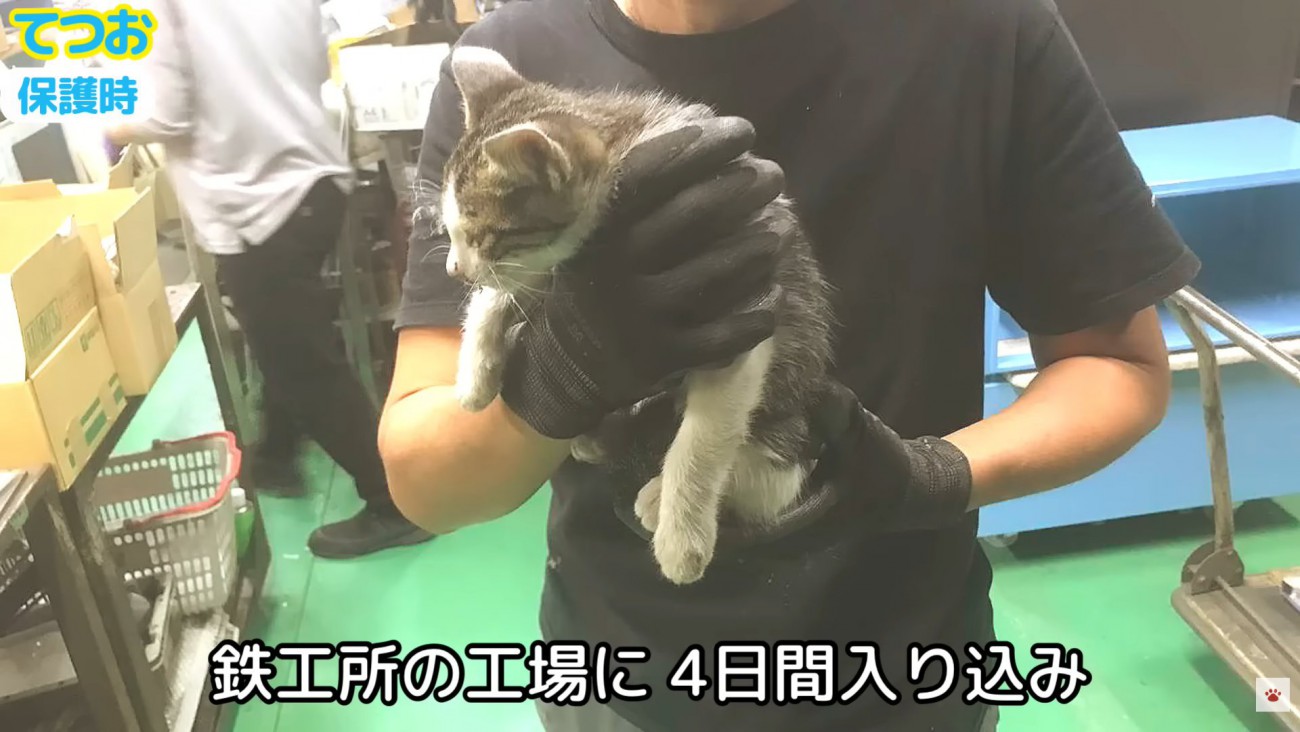 テロップ「鉄工所の工場内に～」