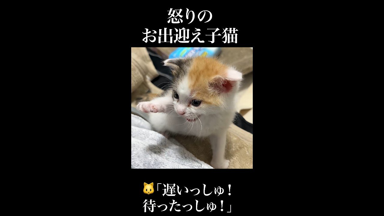 前足を上げて鳴く姿