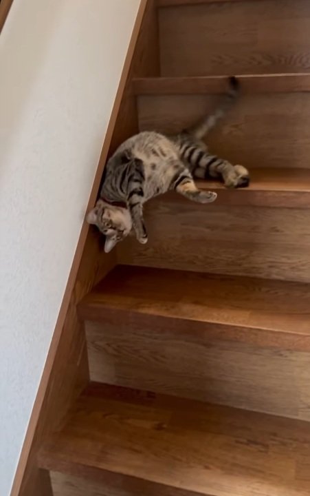 賢い