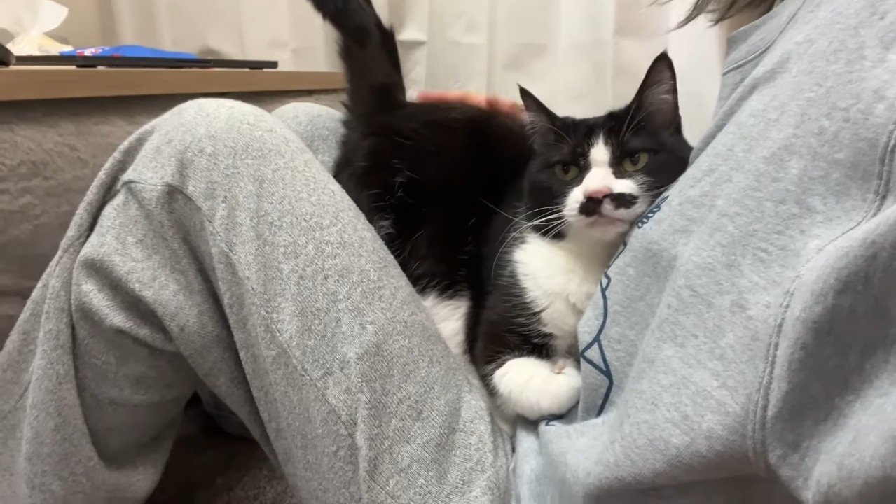 お尻が上がった体勢