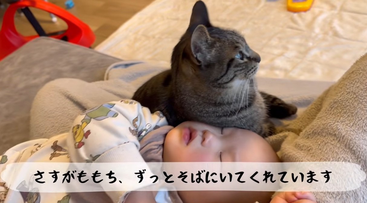 寝込んでいる赤ちゃんのそばに寄り添う猫