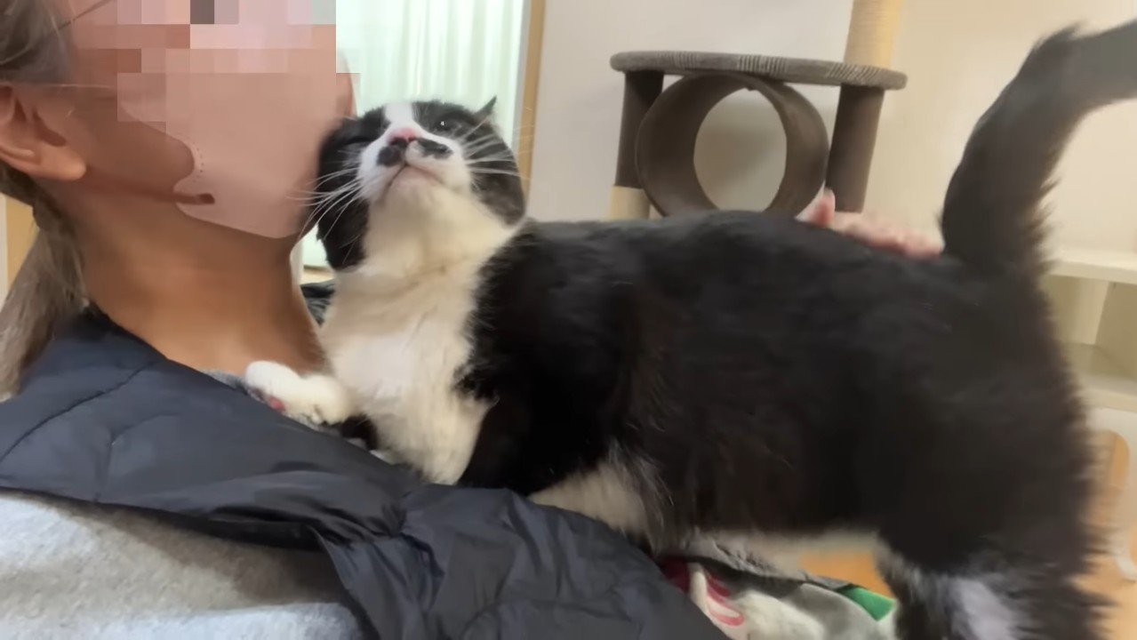 片目を瞑った顔