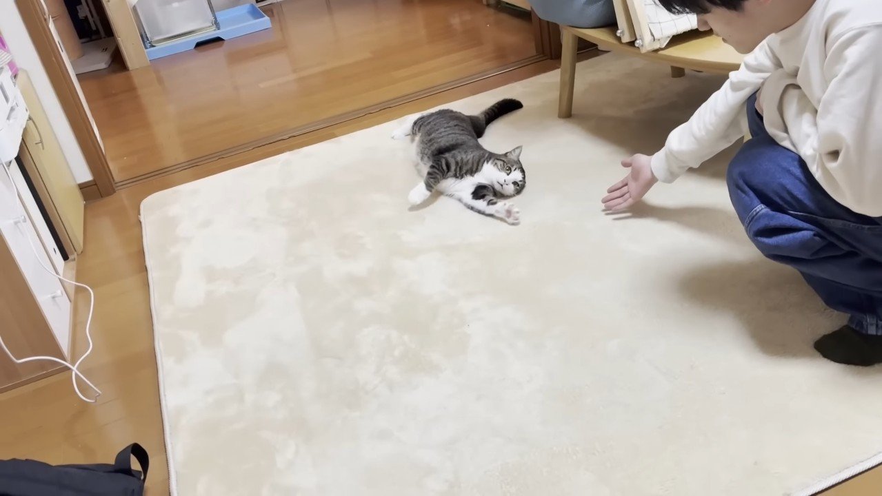 前足を伸ばした姿