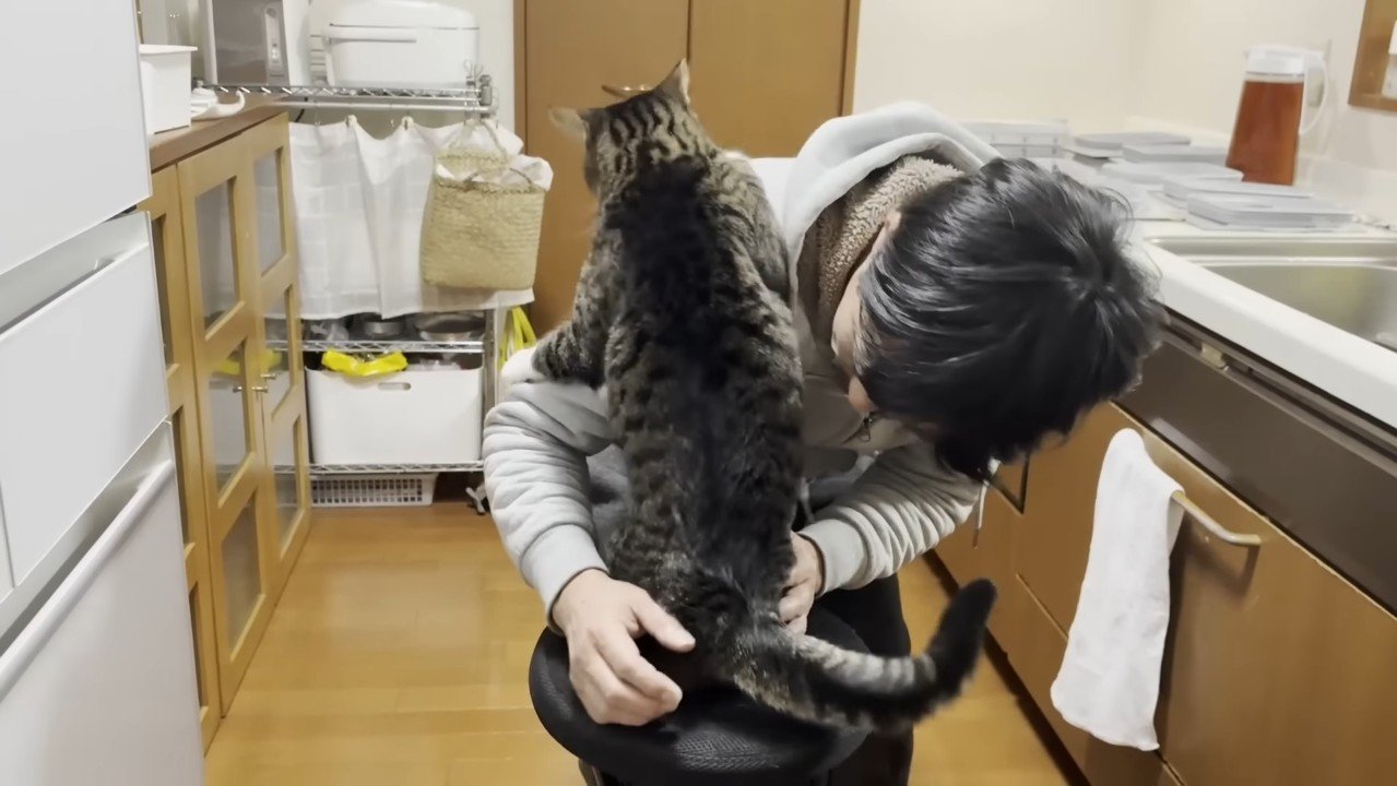 つかまり立ちの後ろ姿