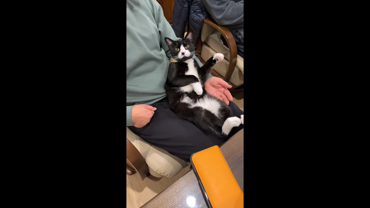 こちらを向いた姿