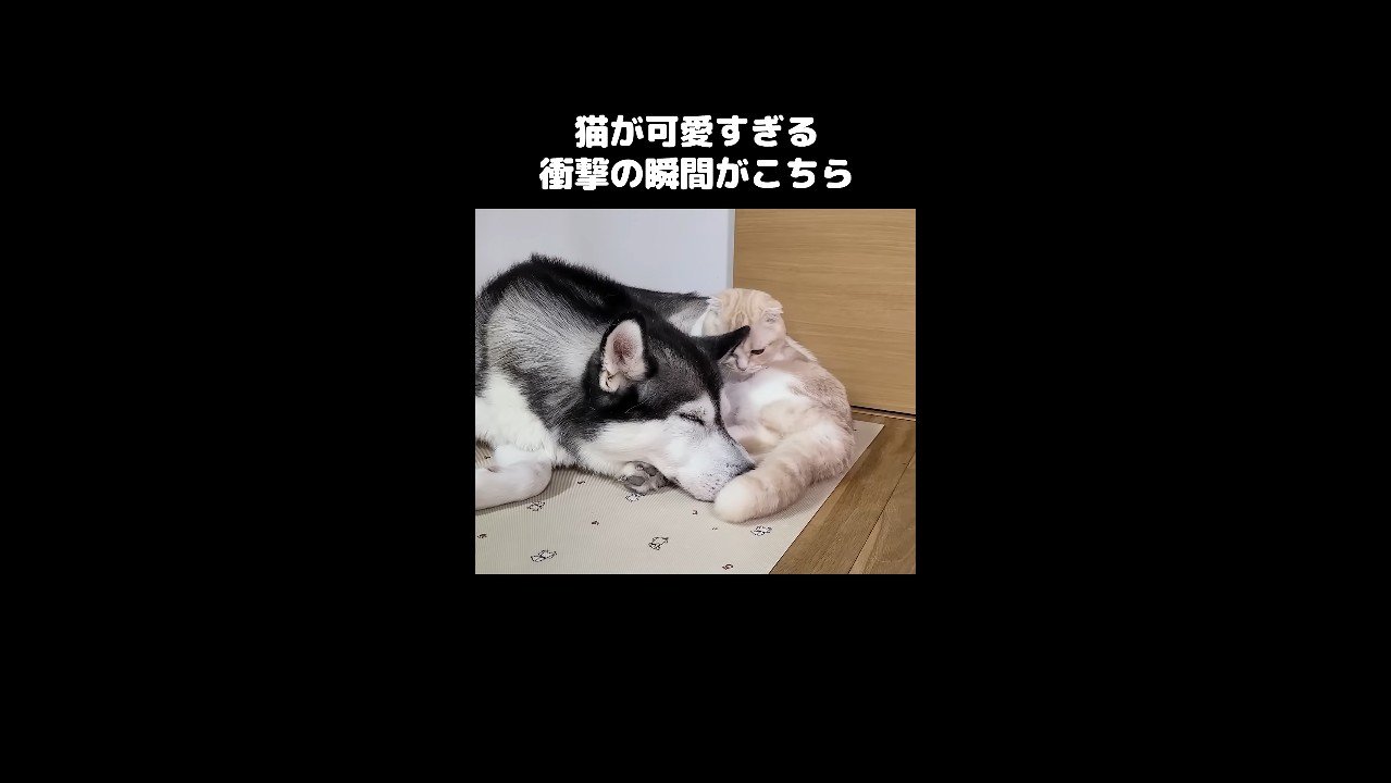 腰を下ろす姿