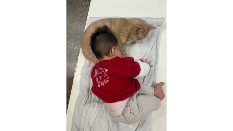 寝ている赤ちゃんと猫