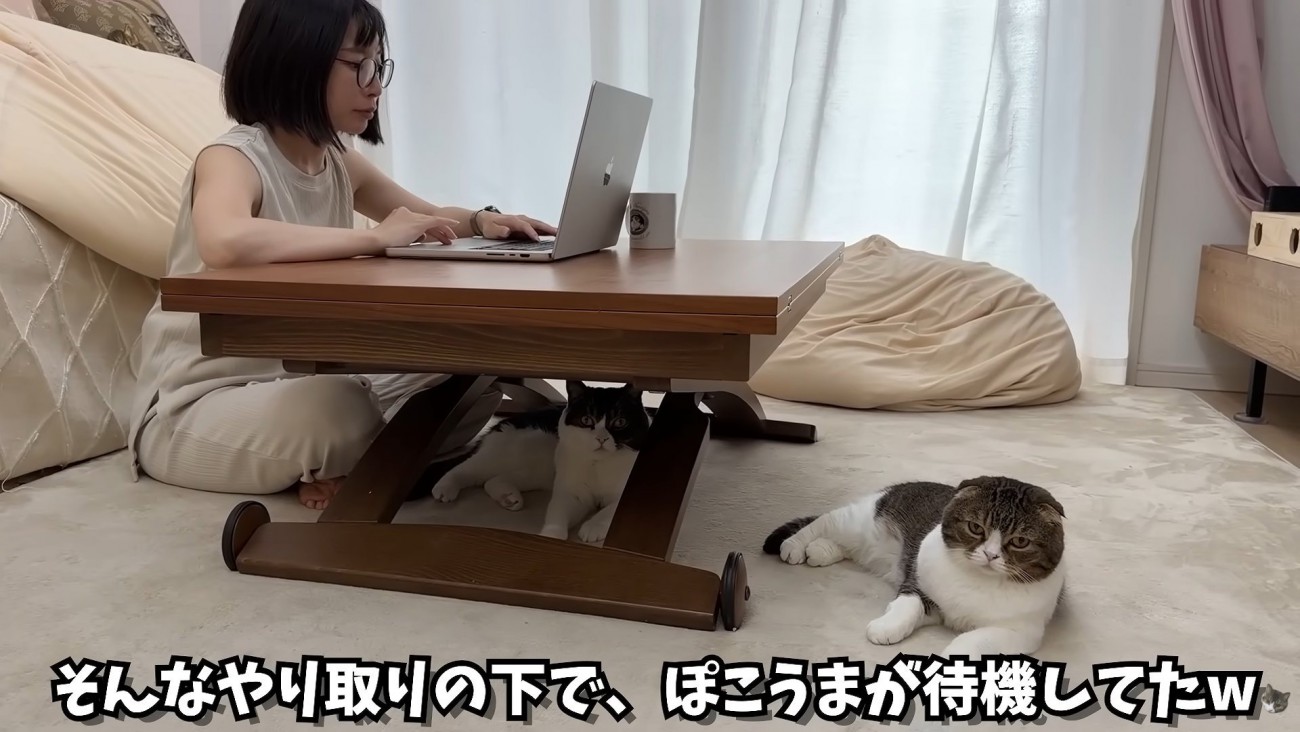 テロップ「そんなやり取りの～」