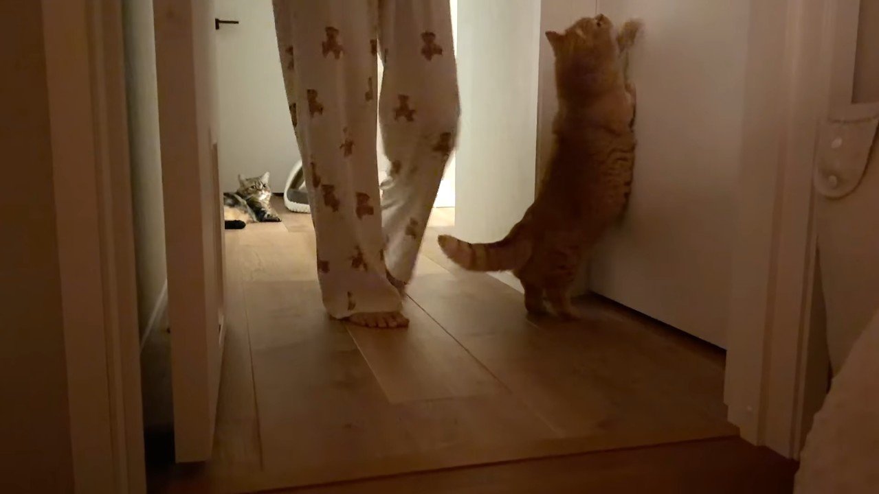 掴まり立ち