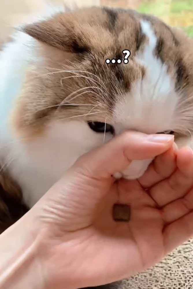 不思議そうな表情