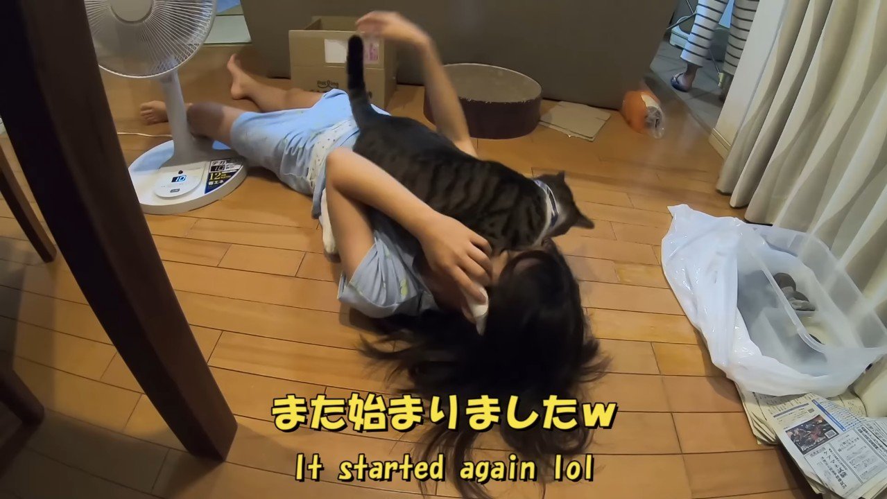 また始まりました